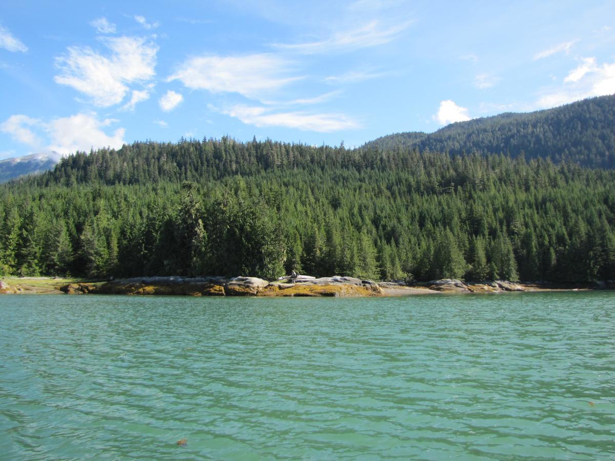 Stewart Mountain Lodge Bagian luar foto